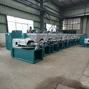 Screw oil press machine6