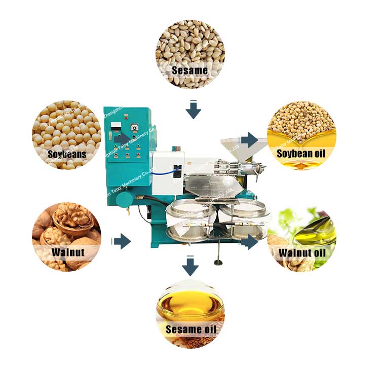 screw oil extraction machine