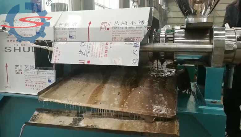 Screw oil press machine01