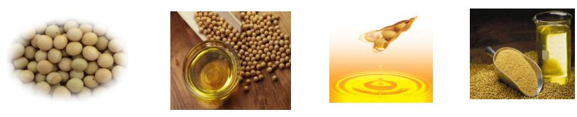 Soybean oil press