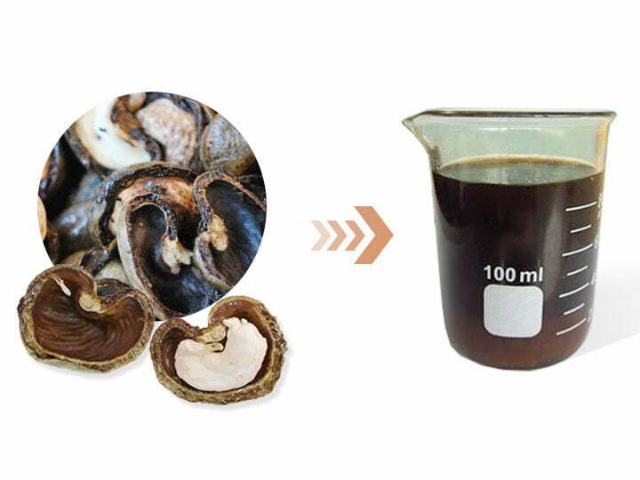 Cashew Nutshell Liquid Screw Press Machine Manufacturer 1 Cashew nutshell and liquid