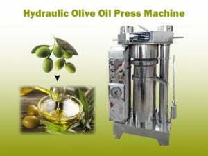 Hydraulic olive oil press machine