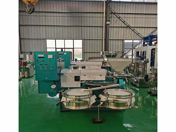 Commercial screw oil press