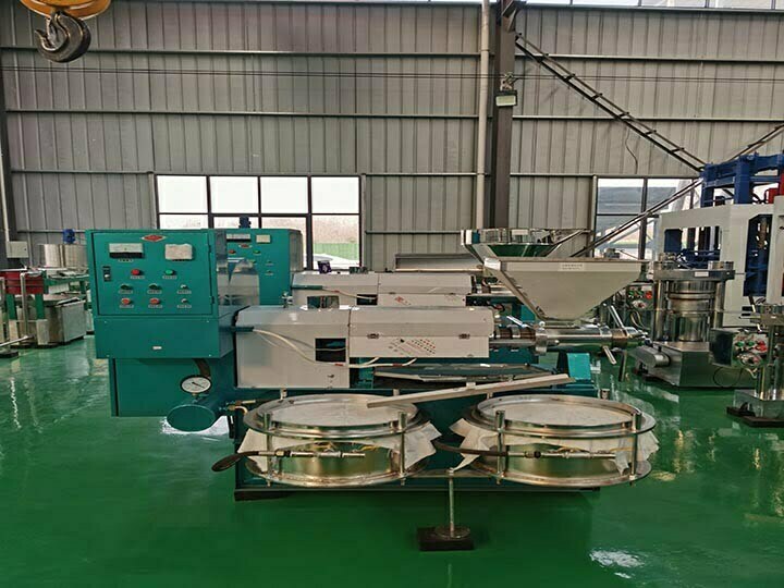 Corn oil press machine