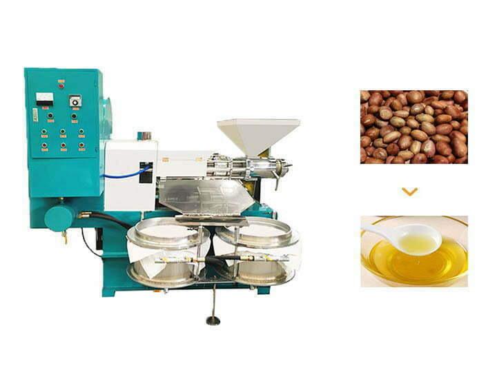 peanut oil extractor