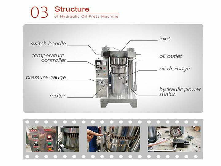 Structure de la machine à expulser l'huile de sésame 1