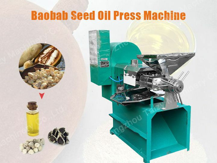 Baobab seed oil press machine