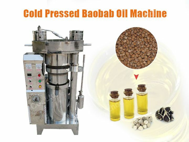 Cold pressed baobab oil machine