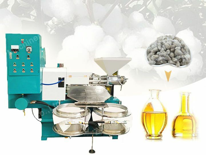 cotton seed oil machine