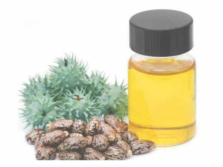 castor seeds and castor oil