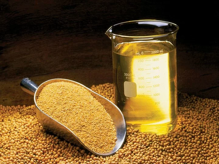 Soybean oil meal and beans