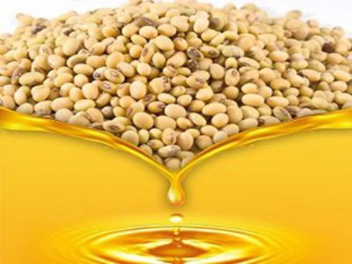 Soybean oil