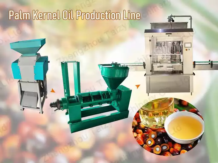 Palm kernel oil production line