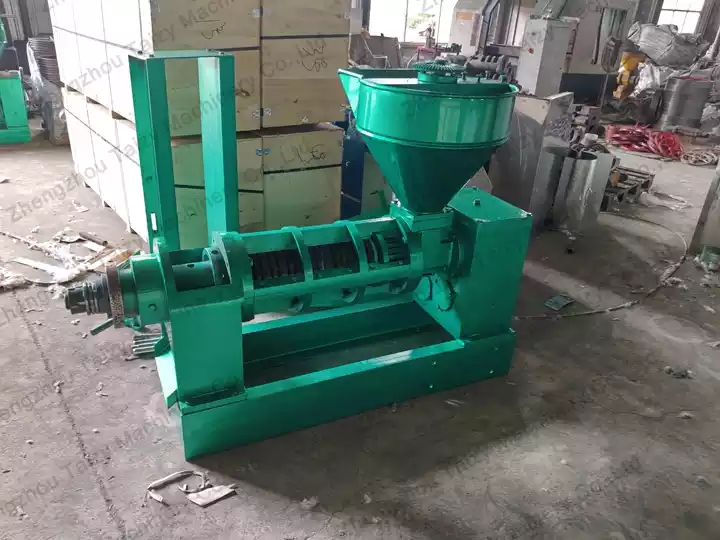Palm kernel screw oil press machine